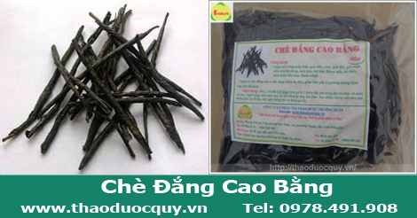 ch&egrave; đắng cao bằng
